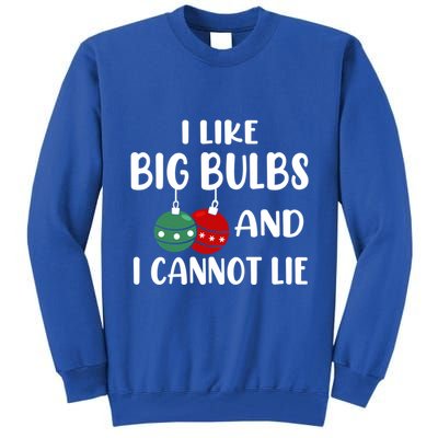 I Like Big Bulbs And I Cannot Lie Xmas Couples Matching Gift Tall Sweatshirt