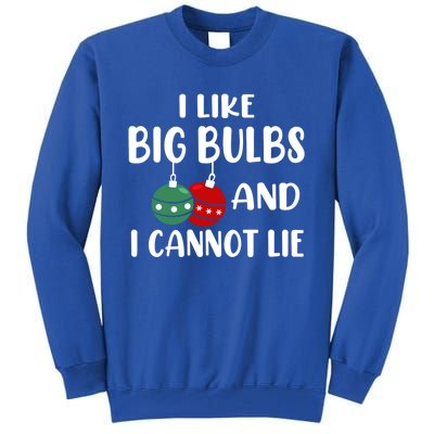 I Like Big Bulbs And I Cannot Lie Xmas Couples Matching Gift Tall Sweatshirt