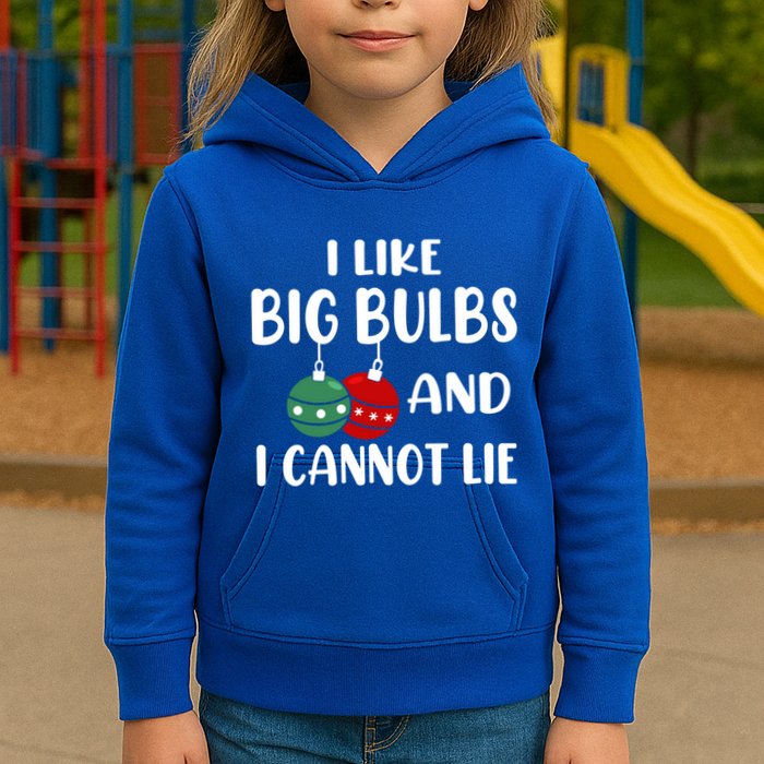 I Like Big Bulbs And I Cannot Lie Xmas Couples Matching Gift Kids Hoodie