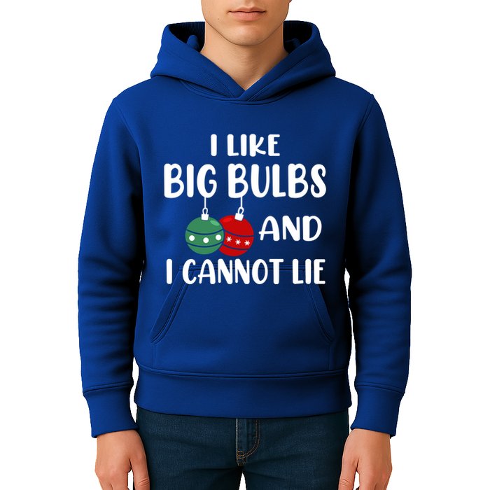 I Like Big Bulbs And I Cannot Lie Xmas Couples Matching Gift Kids Hoodie