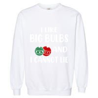I Like Big Bulbs And I Cannot Lie Xmas Couples Matching Gift Garment-Dyed Sweatshirt