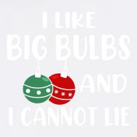 I Like Big Bulbs And I Cannot Lie Xmas Couples Matching Gift Garment-Dyed Sweatshirt