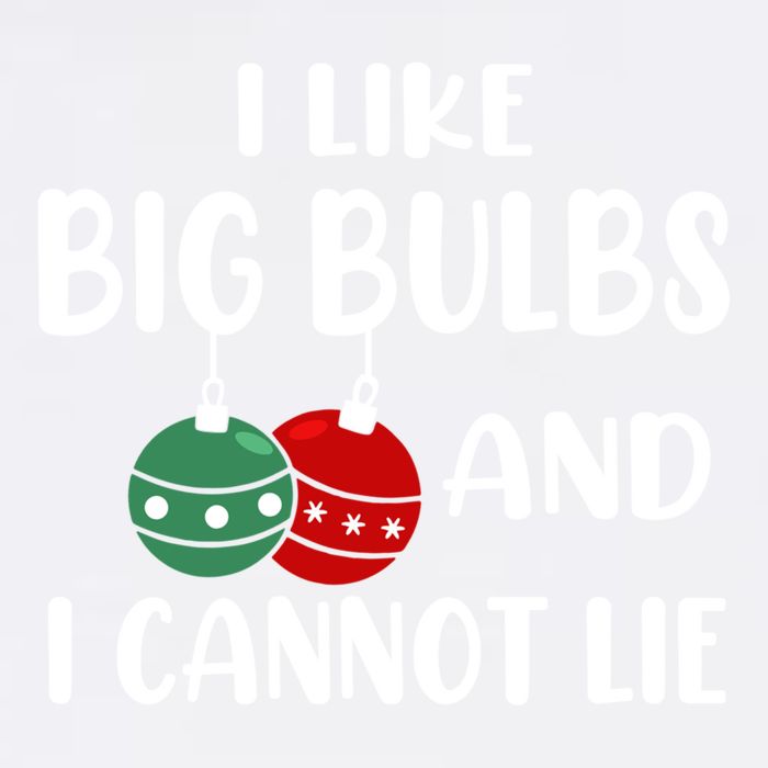 I Like Big Bulbs And I Cannot Lie Xmas Couples Matching Gift Garment-Dyed Sweatshirt