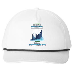 I Like Big Data And I Cannot Lie Cool Gift Snapback Five-Panel Rope Hat