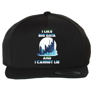 I Like Big Data And I Cannot Lie Cool Gift Wool Snapback Cap