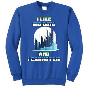 I Like Big Data And I Cannot Lie Cool Gift Sweatshirt