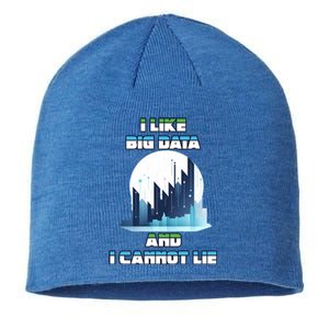 I Like Big Data And I Cannot Lie Cool Gift Sustainable Beanie