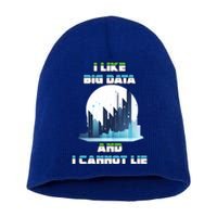 I Like Big Data And I Cannot Lie Cool Gift Short Acrylic Beanie