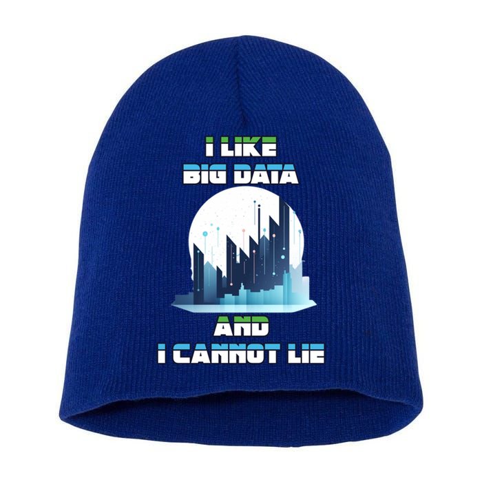 I Like Big Data And I Cannot Lie Cool Gift Short Acrylic Beanie