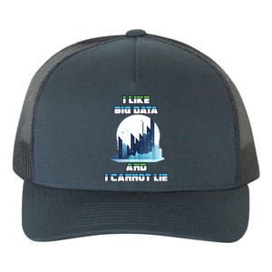 I Like Big Data And I Cannot Lie Cool Gift Yupoong Adult 5-Panel Trucker Hat