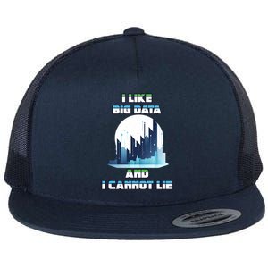 I Like Big Data And I Cannot Lie Cool Gift Flat Bill Trucker Hat