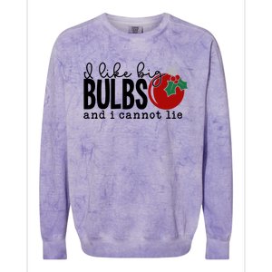 I Like Big Bulbs And I Cannot Lie Funny Christmas Cool Gift Colorblast Crewneck Sweatshirt