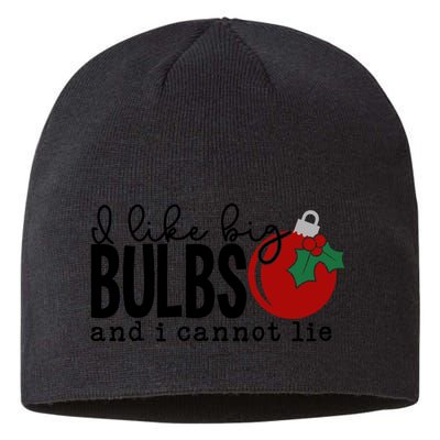 I Like Big Bulbs And I Cannot Lie Funny Christmas Cool Gift Sustainable Beanie
