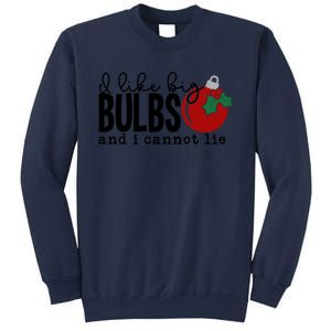 I Like Big Bulbs And I Cannot Lie Funny Christmas Cool Gift Sweatshirt