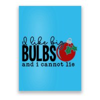 I Like Big Bulbs And I Cannot Lie Funny Christmas Cool Gift Poster