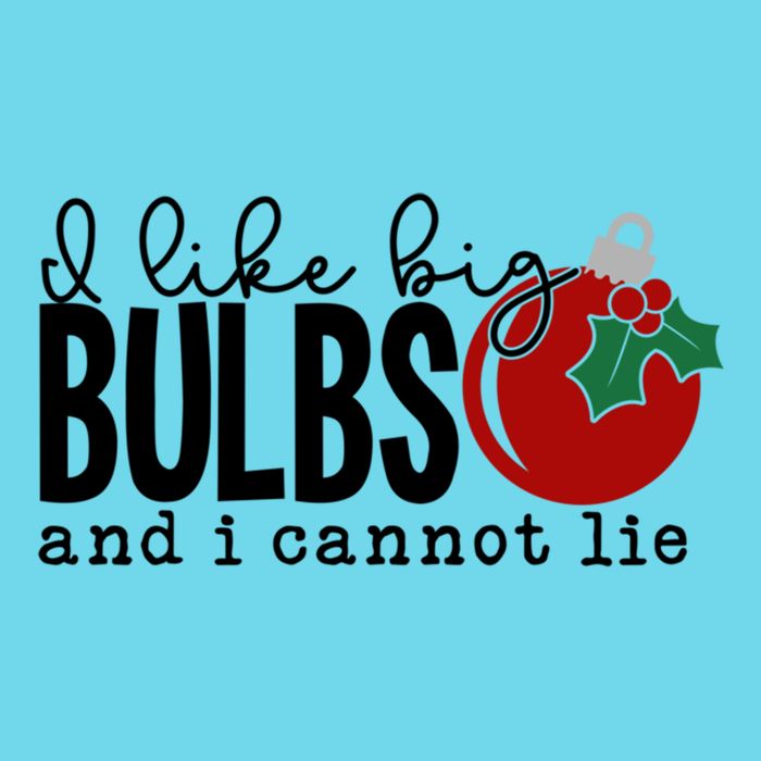 I Like Big Bulbs And I Cannot Lie Funny Christmas Cool Gift Poster