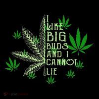 I Like Big Buds And I Cannot Lies Marijuana Leaf Smoker T-Shirt