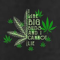 I Like Big Buds And I Cannot Lies Marijuana Leaf Smoker Microfiber Hand Towel