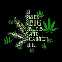 I Like Big Buds And I Cannot Lies Marijuana Leaf Smoker Short Acrylic Beanie