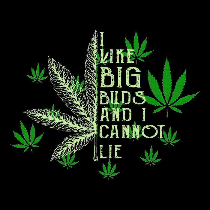 I Like Big Buds And I Cannot Lies Marijuana Leaf Smoker Short Acrylic Beanie