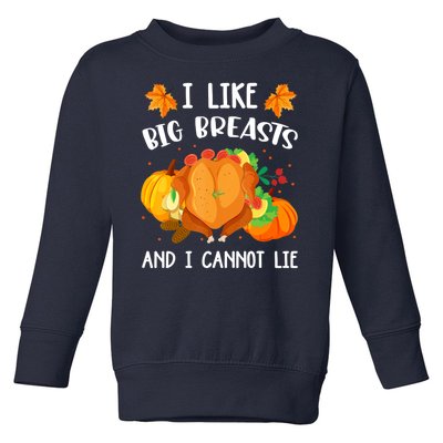 I Like Big Breasts And I Cannot Lie Thanksgiving Turkey Toddler Sweatshirt