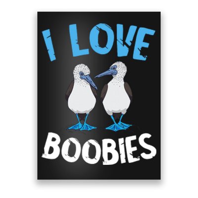 I Love Boobies Funny Blue Footed Poster