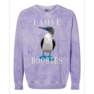 I Love Boobies Blue Footed Boobie Bird Colorblast Crewneck Sweatshirt