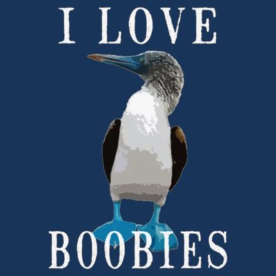 I Love Boobies Blue Footed Boobie Bird T-Shirt