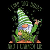 I Like Big Buds And I Cannot Lie Marijuana Cannabis Weed 420 Premium T-Shirt