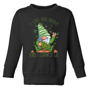 I Like Big Buds And I Cannot Lie Marijuana Cannabis Weed 420 Toddler Sweatshirt