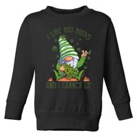 I Like Big Buds And I Cannot Lie Marijuana Cannabis Weed 420 Toddler Sweatshirt