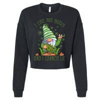 I Like Big Buds And I Cannot Lie Marijuana Cannabis Weed 420 Cropped Pullover Crew
