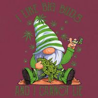 I Like Big Buds And I Cannot Lie Marijuana Cannabis Weed 420 16oz Travel Tumbler