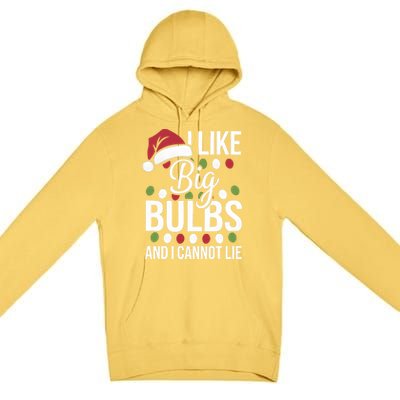 I Like Big Bulbs And I Cannot Lie Funny Christmas Lights Gift Premium Pullover Hoodie