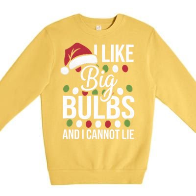 I Like Big Bulbs And I Cannot Lie Funny Christmas Lights Gift Premium Crewneck Sweatshirt