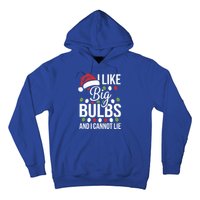 I Like Big Bulbs And I Cannot Lie Funny Christmas Lights Gift Hoodie