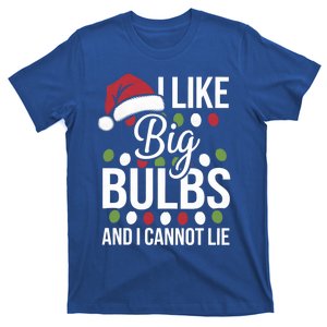 I Like Big Bulbs And I Cannot Lie Funny Christmas Lights Gift T-Shirt