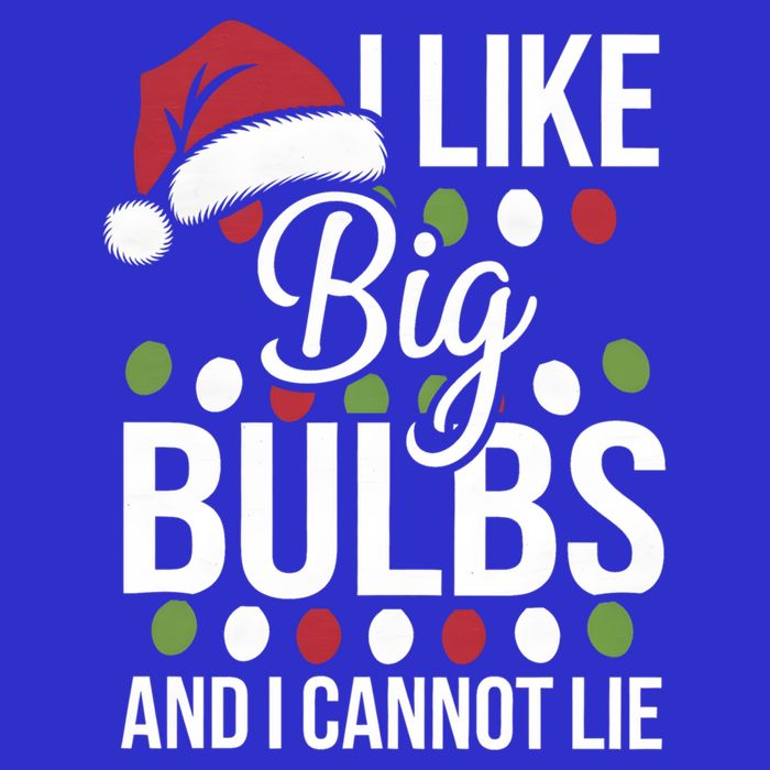 I Like Big Bulbs And I Cannot Lie Funny Christmas Lights Gift T-Shirt