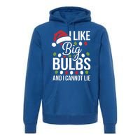 I Like Big Bulbs And I Cannot Lie Funny Christmas Lights Gift Premium Hoodie