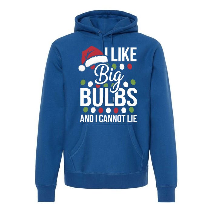 I Like Big Bulbs And I Cannot Lie Funny Christmas Lights Gift Premium Hoodie