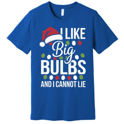 I Like Big Bulbs And I Cannot Lie Funny Christmas Lights Gift Premium T-Shirt