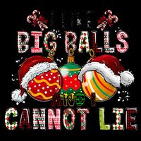 I Like Big Balls And Cannot Lie Funny Christmas Funny Gift Flat Bill Trucker Hat