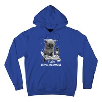 I Like Big Books And I Cannot Lie Cat Reading A Book Bookish Cute Gift Hoodie