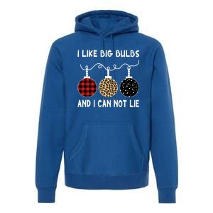 I Like Big Bulbs And I Can Not Lie Family Matching Christmas Great Gift Premium Hoodie