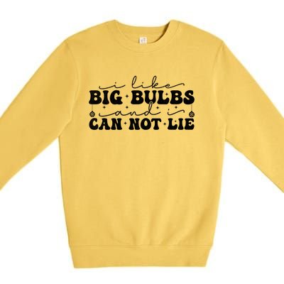 I Like Big Bulbs And I Cannot Lie Funny Holiday Christmas Gift Premium Crewneck Sweatshirt