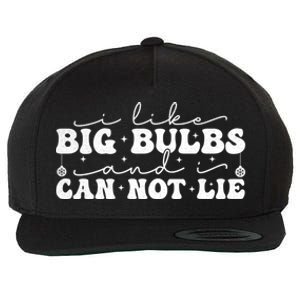 I Like Big Bulbs And I Cannot Lie Funny Holiday Christmas Gift Wool Snapback Cap