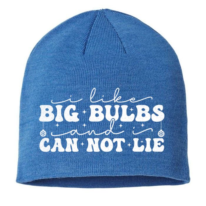 I Like Big Bulbs And I Cannot Lie Funny Holiday Christmas Gift Sustainable Beanie