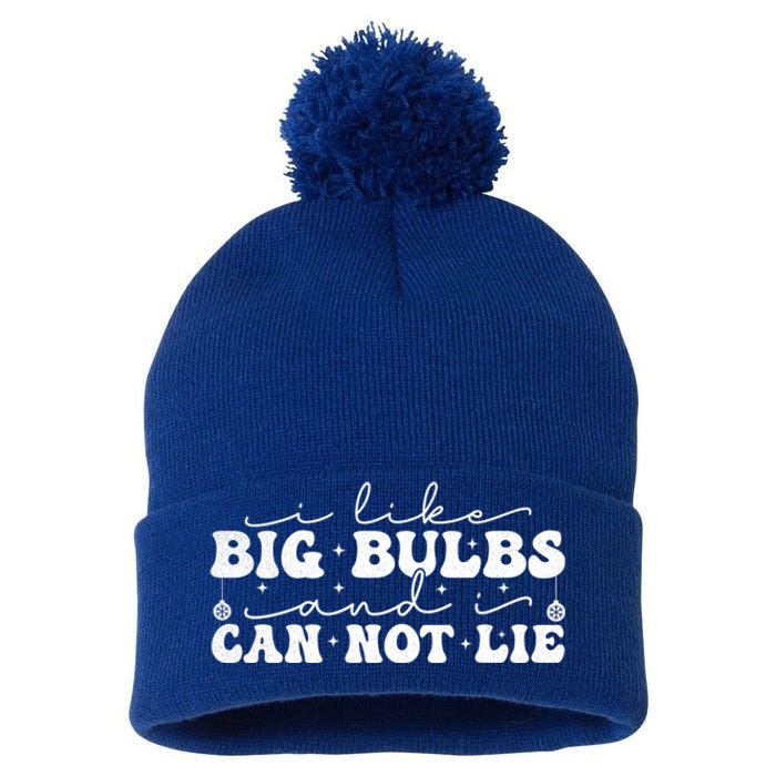 I Like Big Bulbs And I Cannot Lie Funny Holiday Christmas Gift Pom Pom 12in Knit Beanie