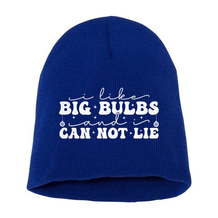 I Like Big Bulbs And I Cannot Lie Funny Holiday Christmas Gift Short Acrylic Beanie