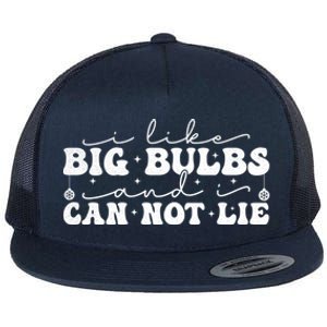 I Like Big Bulbs And I Cannot Lie Funny Holiday Christmas Gift Flat Bill Trucker Hat